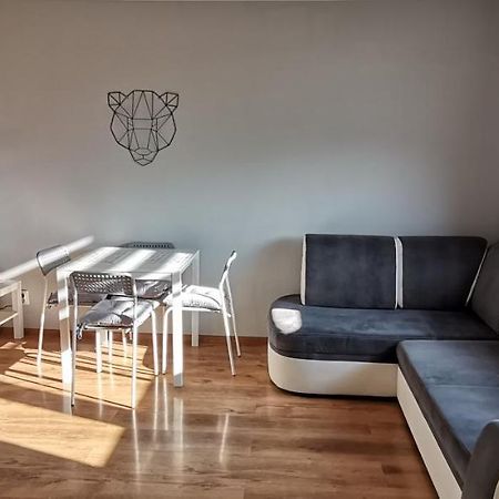 Apartament Przy Papierni Appartamento Duszniki Zdrój Esterno foto